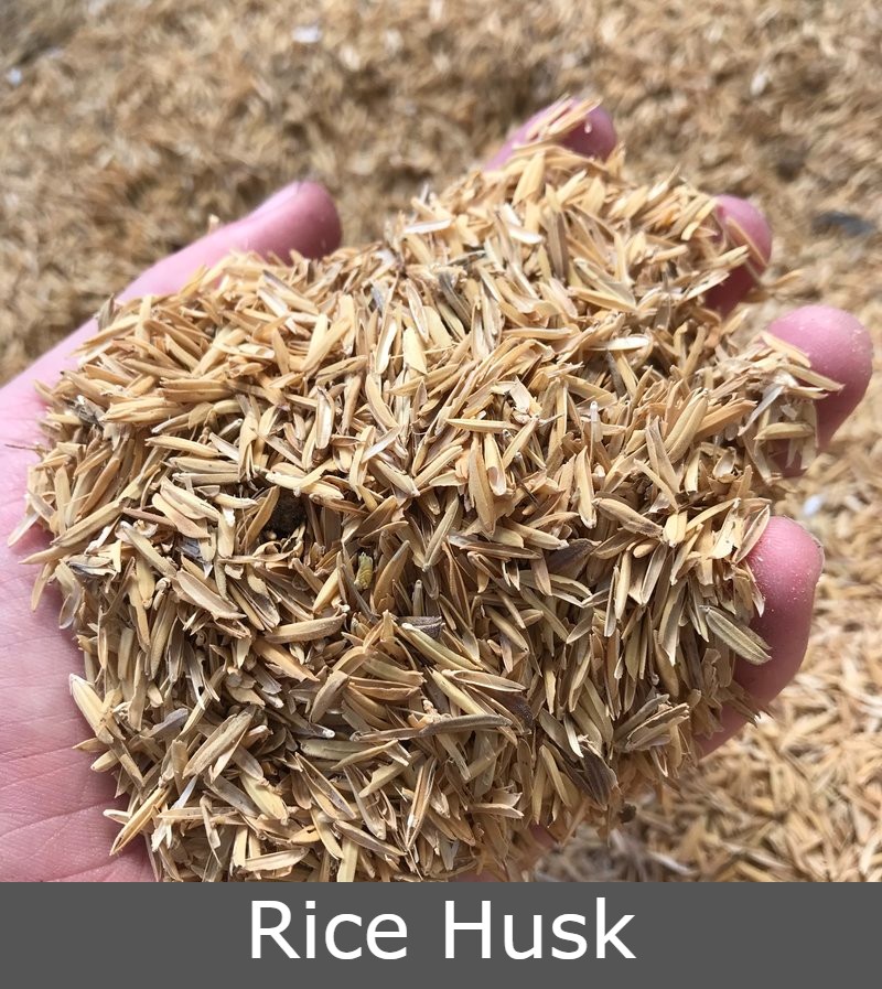 Rice Husk